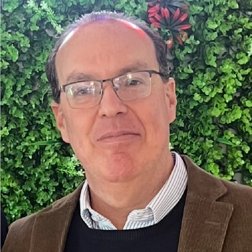 Asesor Financiero - Hernán Rozin